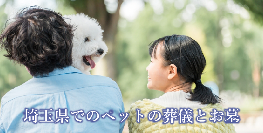 千葉県内のペット葬儀・火葬・お墓ガイド｜費用・霊園・火葬場情報まとめ